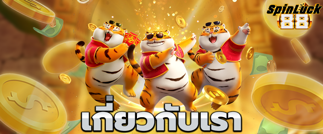 เกี่ยวกับเรา